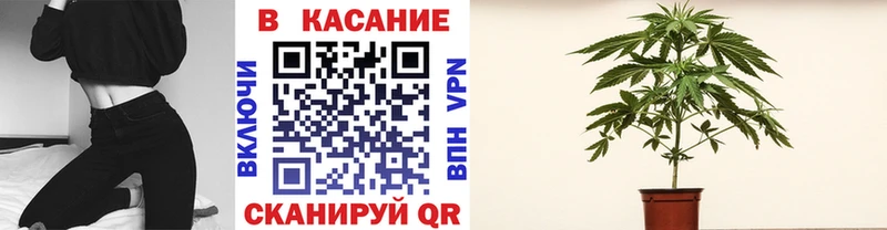 Цена Бородино Каннабис Alpha PVP Меф COCAIN