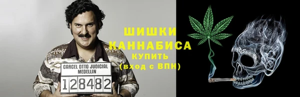 индика Белоозёрский