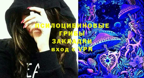 индика Белоозёрский