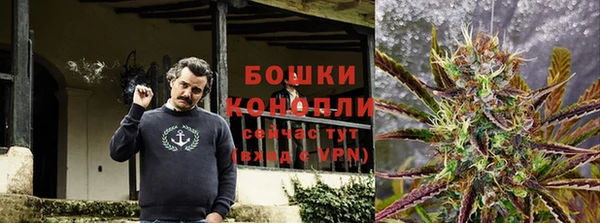 индика Белоозёрский