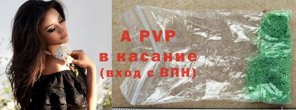 индика Белоозёрский