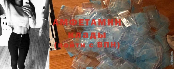 индика Белоозёрский